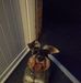 Michael Gaw - Facebook