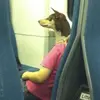 michaelgaylord207 - @michaelgaylord207 - TikTok