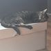 Michael Gayton - Facebook