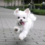 Michael Gayton - @michaelgayton447 - Instagram