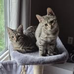 Michael Gayton - @symbiotespidermike - Instagram