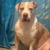 Michael Gazo - @michael.gazo3 - TikTok