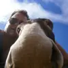 michaelgehmacher - @michaelgehmacher - TikTok