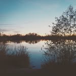 Michael Geiberger - @michaelgeiberger - Instagram