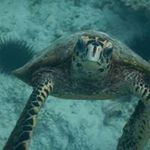 Michael Geisel - @geiselmichael - Instagram