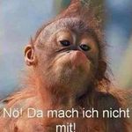 Michael Geiselmann - @geiselmannmichael - Instagram
