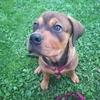Michael Geiser - @michael.geiser - TikTok