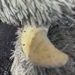 Michael Geist - @michaelgeist2080 - Instagram
