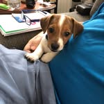 Michael Geist - @michael.geist.75436 - Instagram
