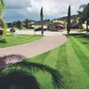 Michael Geist’s Yard Works - @michaelgeistyardworks - TikTok