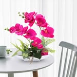Michael Genay - @michael_genay.59 - Instagram