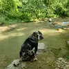 Michael Gentilini625 - @michaelgentilini6 - TikTok