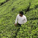 Nikhil George - @michael_george____ - Instagram