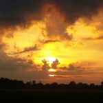 Michael Gerding - @gerdingmichael - Instagram