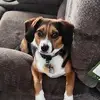 michaelgergen630 - @michaelgergen630 - TikTok