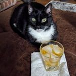 Michael Gerringer - @f3f62023 - Instagram