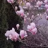 Michael Gertler - @michael.gertler5 - TikTok