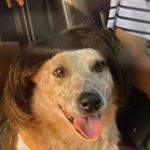 Michael Getchell - @marianaboise - Instagram
