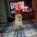 Michael Giaimo - Facebook