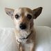 Michael Giaimo - Facebook