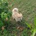 Mike Giaimo - Facebook