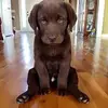 Michael Giampaolo - @michaelgiampaolo1966 - TikTok