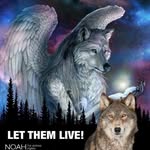 Michael Gilpin - @michael.gilpin.108 - Instagram