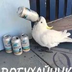 Michael Goldenberg - @kozolikus - Instagram