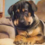John Michael Goodfellow - @john_goodfellow_ - Instagram