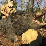 Michael Gower - @mikegower60 - Instagram
