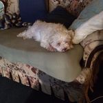 Michael Gower - @michael.gower.942 - Instagram