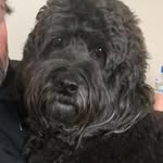 Michael Grady - @michaelgrady6430 - Instagram