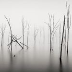 Michael Greco - @michaelgrecophotography - Instagram