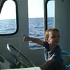 Michael green - @michael_gr3en - TikTok