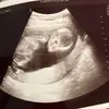 michael greene - @michael.ggreene999 - TikTok