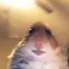 michael.greer - @michael.greer - TikTok