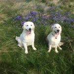 Michael Griggs - @michael.griggs.520900 - Instagram