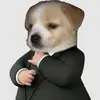 Michael Grillo - @michael.grillo4 - TikTok
