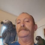Mike Grindle - @michaelgrindlesr - Instagram