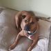 Michael Grosse - Facebook