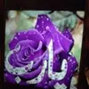 Michael Grubb - @michaelgrubb_6087 - TikTok