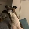 michaelgrubbs_ - @michaelgrubbs_ - TikTok