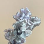 Michael Günther - @michiguenther - Instagram