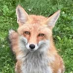 Michael Hajkowski - Facebook