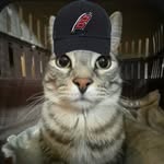 Michael halasz - @mshalasz1016 - Instagram