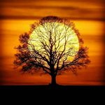 Michael Halder - @halder8163 - Instagram