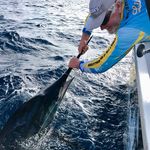 Michael Haley - @michaelhaleyfishing - Instagram