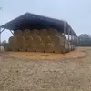 michaelhaley6212 - @michaelhaley6212 - TikTok