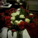 Michael Halls - @michaelhalls2013 - Instagram