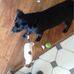 Michael Halls - Facebook